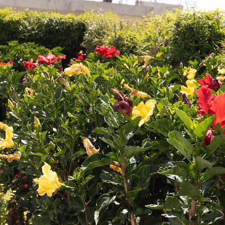 Hospedaje El Girasol Tababela Quito Eksteriør billede