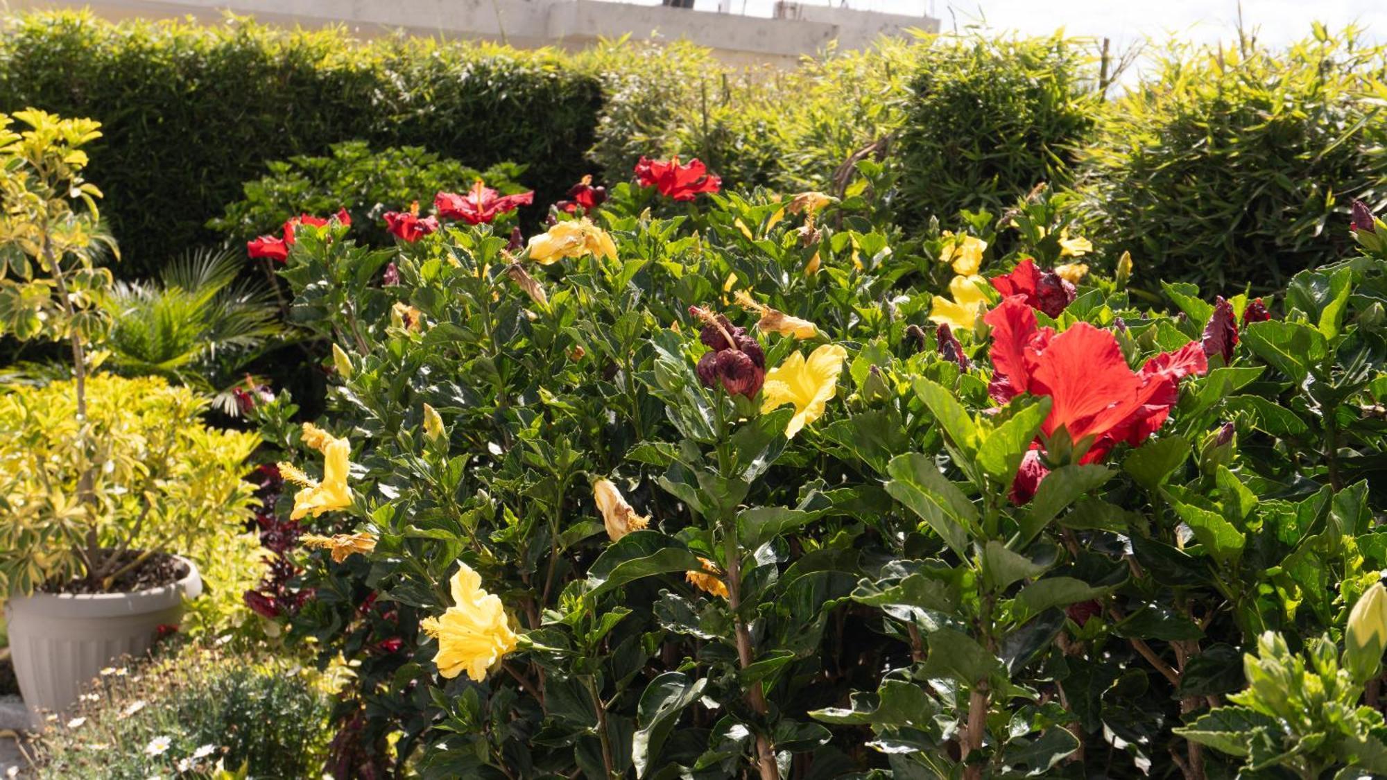 Hospedaje El Girasol Tababela Quito Eksteriør billede